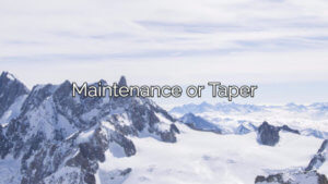Read more about the article Maintenance or Taper: What works best when quitting heroin?