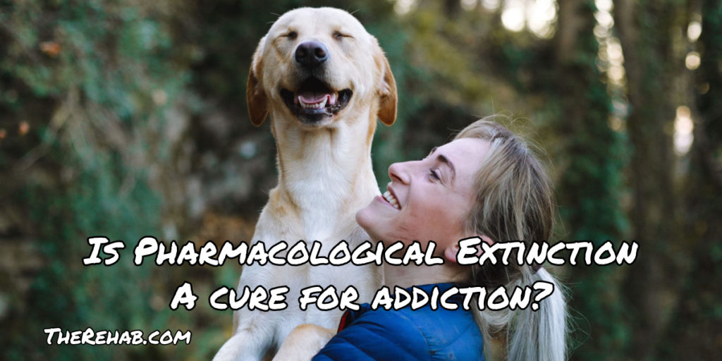 Extinction Conditioning Dogs Pavlov's Dog & Pharmacological Extinction - A Cure For Addiction | The ...