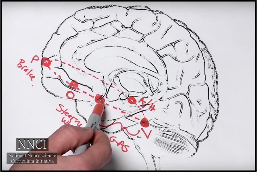 Treating Mental Health & Addiction 