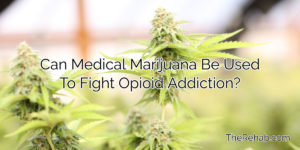 Read more about the article Can Medical Marijuana Be Used To Fight Opioid Addiction?