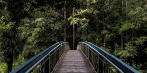 Read more about the article What Are The Best Exercises for Addiction Recovery? Why Is Exercise So Important?