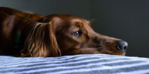 Read more about the article What’s worse, anxiety from not drinking, or hangxiety in the morning?