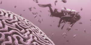 Read more about the article Is Alcoholism A Mental Illness? What Is The Best Treatment For Alcoholism?