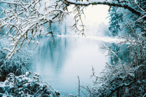 Read more about the article Mixing Cocaine And Alcohol: Is It Bad To Mix Cocaine And Alcohol Together?