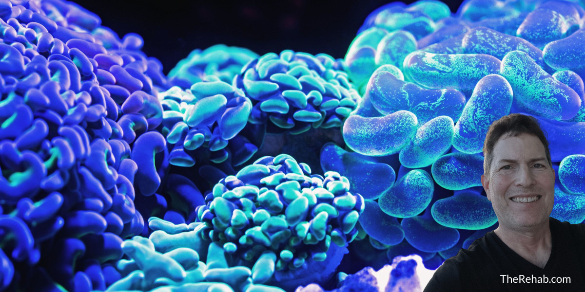 You are currently viewing What Are the Long-term Heroin Use Side Effects I Should Be Worried About?