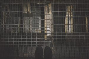 Read more about the article Exploring the Effects: What Does a Hydrocodone High Really Feel Like?